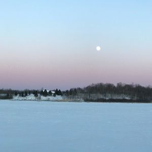 Meet your Posher, Bowen